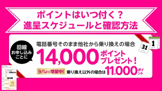 ポイントはいつ付く？進呈スケジュールと確認方法